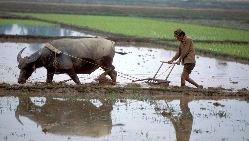 low productivity agriculture