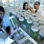role of biotechnology in the advancement of eco-friendly technologies